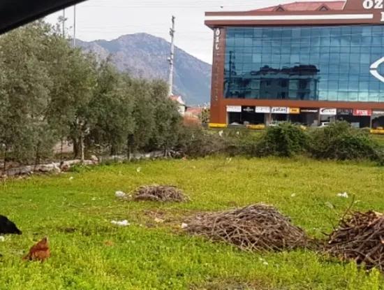 Ortacada Satılık Ticari Arsa