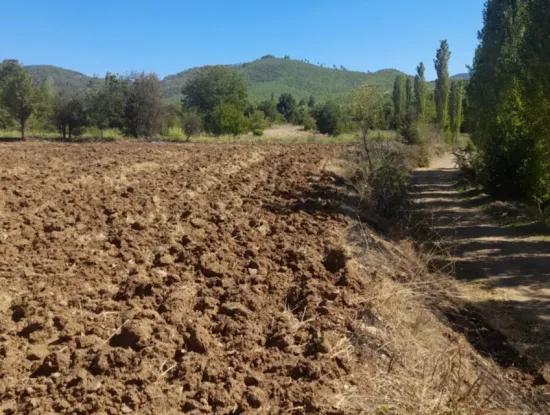 Denizli Beyağaç Yeniçeşmede 2700 M2 Müstakil Arazi Satılık