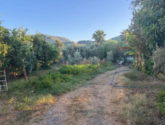 Muğla, Ortaca, Okçularda Konumu İyi  650 M2 Konut  İmarlı Arsa  Satılık