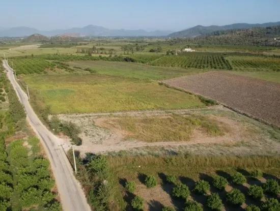 Ortaca Mergenlide 2 Parsel 13 000 M2 Tarla Satılık