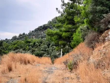 Muğla Sarıgermede Satılık Deniz Manzaralı Arsalar