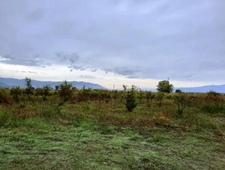 Ortaca Tepearasında 13250 M2 Müstakil Tapulu Kelepir Arazi Satılık