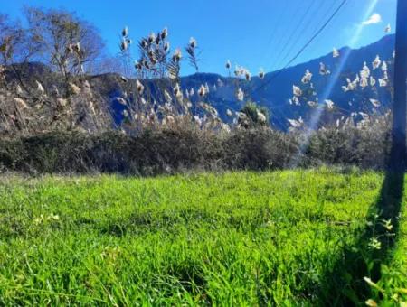 Muğla Ortaca Dalyanda Satılık Yol Cepheli 9300 M2 Yatırıma Uygun Verimli Arazi