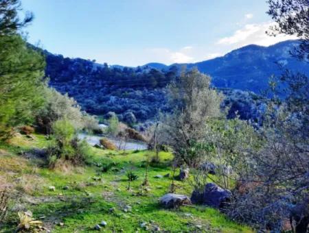 Muğla Dalyan Gökbelde 1700 M2 Doğa Manzaralı Müstakil Arazi Ve Bungalov