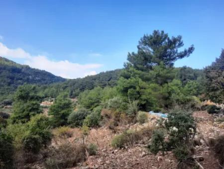 Muğla Dalyan Gökbelde 320 M2 Kelepir Arazi Satılık