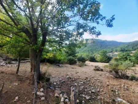 Muğla Dalyan Gökbelde 320 M2 Kelepir Arazi Satılık