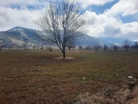 Denizli Çameli Belevi De 358 M2 Müstakil Tapulu Tarla  Hobi Bahçesi Satılık