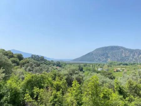 Muğla Köyceğiz Çandır Da 3.937  M2  Satılık Tarla