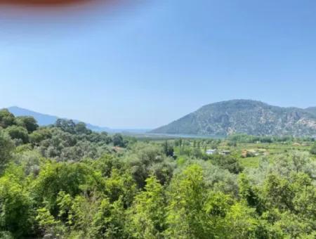 Muğla Köyceğiz Çandır Da 3.937  M2  Satılık Tarla