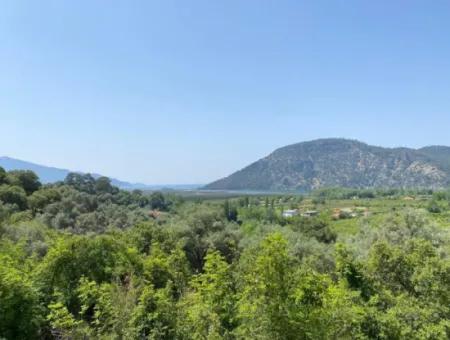 Muğla Köyceğiz Çandır Da 3.937  M2  Satılık Tarla