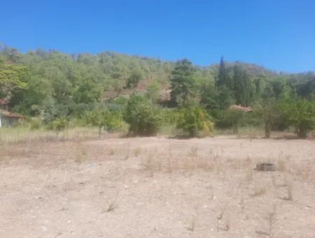 Mugla Ortaca Çaylıda 600 M2 Konut İmarlı Kelepir Arsa Satılık