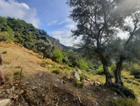 Muğla Dalyan Gökbelde  7 270 M2 Müstakil Tapulu Deniz Ve Göl Manzaralı Arazi Satılık