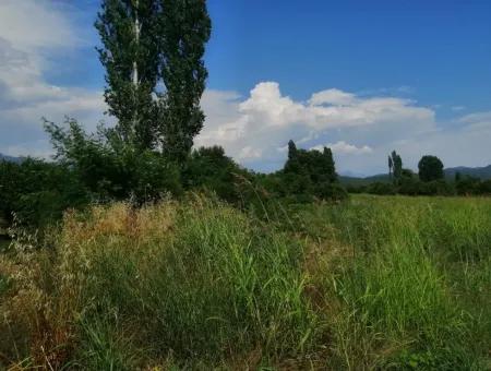 Köyceğiz Beyobasında Satılık Kelepir Tarla