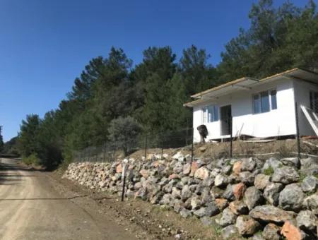 Muğla Gökbelde 2 900 M2 Müstakil Arazide  1+1 Bungalov Satılık