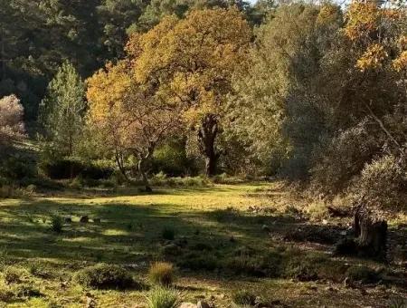 Göcek Te Satılık Yatırıma Uygun Arazi