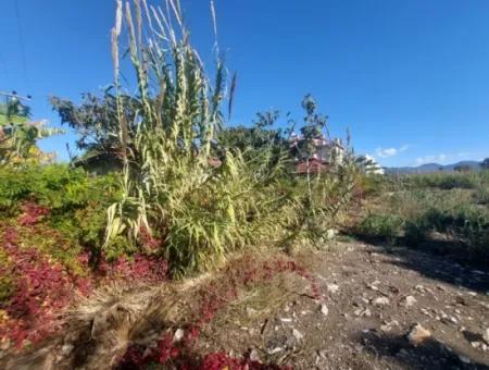 ???? Fethiye Çalış'ta Turizm İmarlı Yatırımlık Arsa Satılık! ????