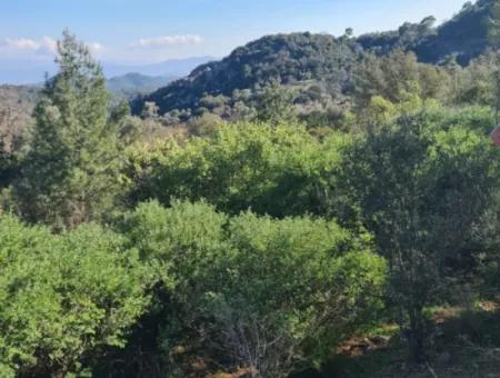 Muğla Fethiye İnlice Mahallesi Kertmeç Mevkiinde, Kısmen Deniz Manzaralı 15.000 M² Müstakil Tapulu Arazi Satılıktır.