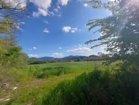 Muğla Ortaca Eskiköyde 12.805 M2 Hisseli Rızai Taksim Olan Tarla Satılık.