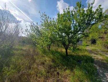 Muğla Ortaca Eskiköyde 12.805 M2 Hisseli Rızai Taksim Olan Tarla Satılık.