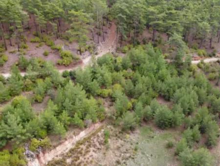 Fethiye Kızılbelde 523 M2 % 20 Kelepir Konut İmarlı Arsa Satılık