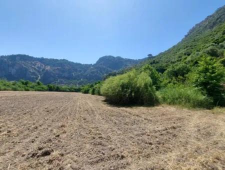 Muğla Marmarlıda 7.750 M2 İmar Planı İçinde Yatırıma Uygun Kelepir Arsa  Satılık