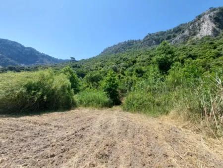 Muğla Marmarlıda 7.750 M2 İmar Planı İçinde Yatırıma Uygun Kelepir Arsa  Satılık