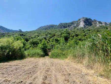 Muğla Marmarlıda 7.750 M2 İmar Planı İçinde Yatırıma Uygun Kelepir Arsa  Satılık