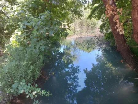 Muğla Marmarlıda 7.750 M2 İmar Planı İçinde Yatırıma Uygun Kelepir Arsa  Satılık