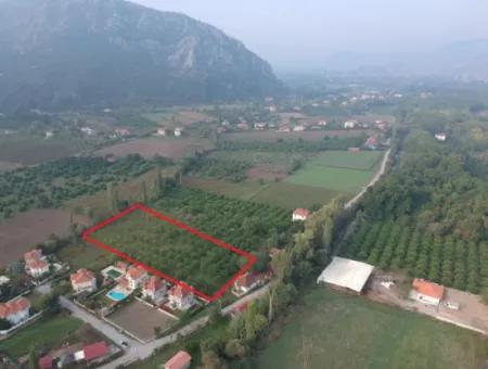 Ortaca Okçular Marmarlıda 500 M2 Arsa Satılık Veya Dalyandan Dükkan İle Takas