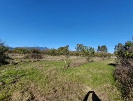Ortaca Okçular Marmarlıda 500 M2 Arsa Satılık Veya Dalyandan Dükkan İle Takas