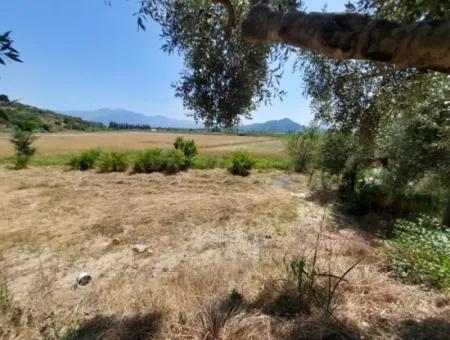 Ortaca Eskiköyde 2.500M2 Hazine Arazisinde Numaratajı Olan Bina İle Devren Satılık