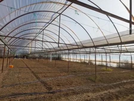 Ortaca Eskiköy’de 5.850 M² Göl Manzaralı Arazi Ve Köy Evi Satılık