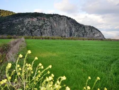 Ortaca Mergenlide Satılık Müstakil Verimli Kelepir Arazi