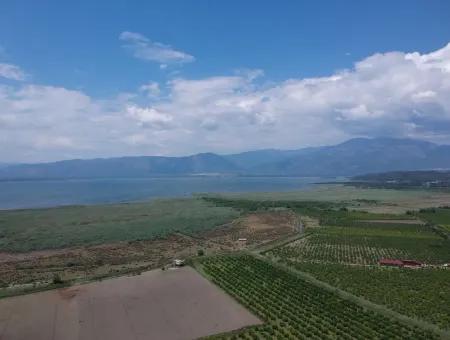 Ortaca Tepearası Nda 13 700 M2 Kelepir Arazi Satılık