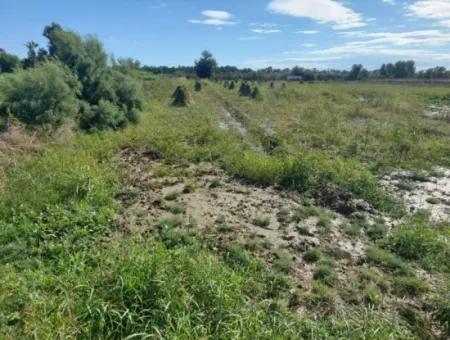 Ortaca Fevziyede 500 M2 2 Parsel Arsa Satılık