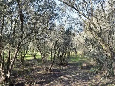 Fethiye Kadıköyde Satılık Müstakil Köy Evi