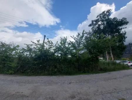 Mugla Dalyan Da 150 M2 İnşaat Hakkı Olan 5.000 M2 Arazi Satılık