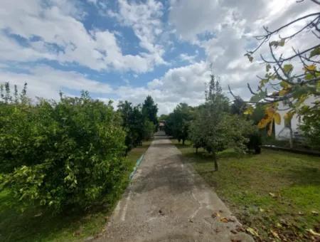 Ortaca Akıncı Sarıgerme Yoluna Sıfır 902 M2 Arsada 2+1, 70 M2 Köy Evi Satılık