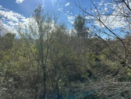 Ortaca Yeşilyurt Da 12 000 M2 Tarla Satılık