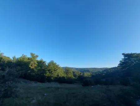 Muğla Ula  Kızılyaka 790M2 Hazine Arazisi Zilliyet Hakkı Devir Edilecek Veya  Araç Takas Olur