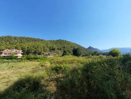 Göcek İnlice De Satılık Bağ Bahçe İmarlı Arazi