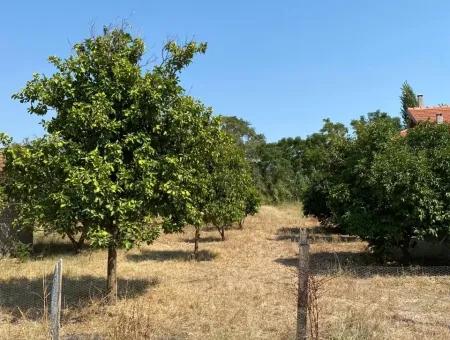 Ortacada Satılık Yatırımlık İmarlı Arsa