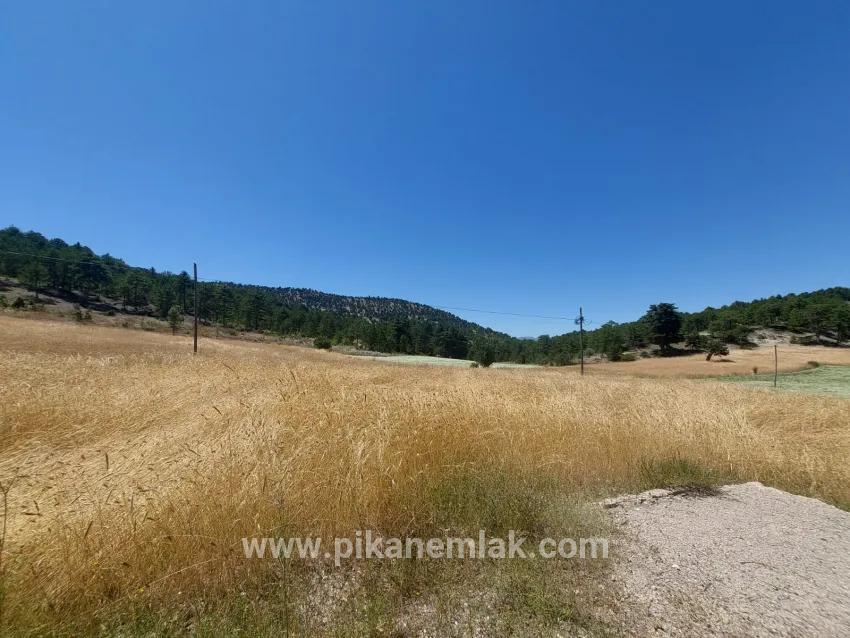 Çameli Cumaalanı Mah. Satılık Arazi - Tarla İmar Durumlu - 6.230 m²