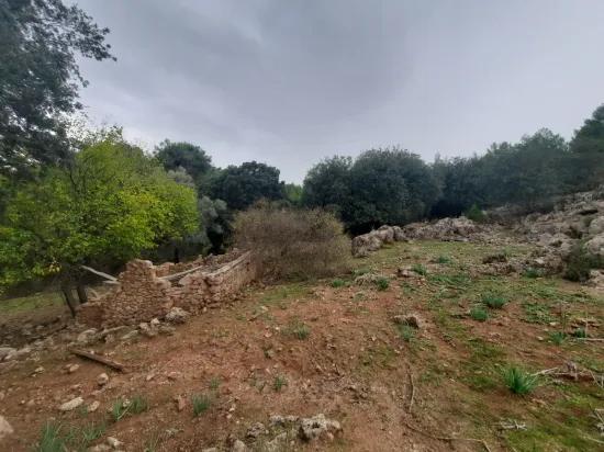 Muğla Ortaca Gökbel’de 24.000 M² Doğa İçinde Müstakil Arazi