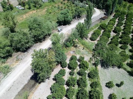 Köyceğiz'de Göle Yakın, Müstakil Tapulu 2.650 M2 Narenciye Bahçe Satılık, Veya Takas Olur.