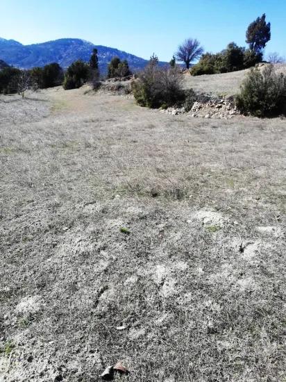 Denizli Çameli İmamlar’da Müstakil 1 420 M2 Yatırıma Uygun Arazi Satılık Veya Takas Olur