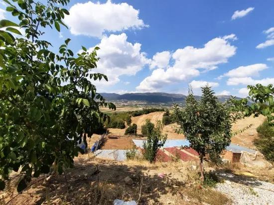 Çameli Kızılyaka’da 5 000 M2 Müstakil Arazide 2+1 Ev Ve 200 M2 Ahır Satılık