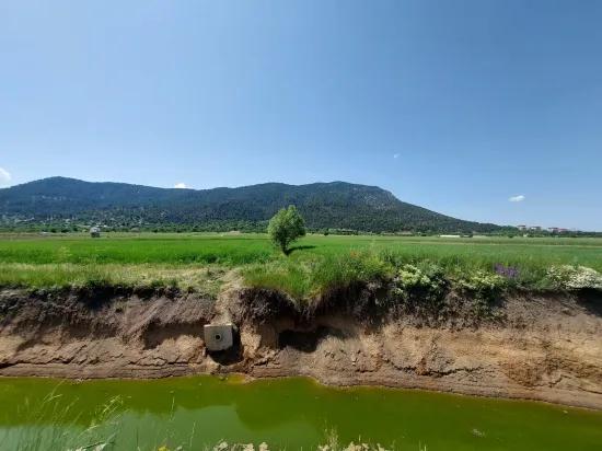 Çameli Bıçakçı’da Satılık Kelepir Arazi – 5.333 M² Müstakil Tapulu