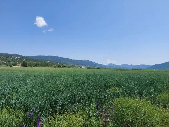 Çameli Bıçakçı’da Satılık Kelepir Arazi – 5.333 M² Müstakil Tapulu