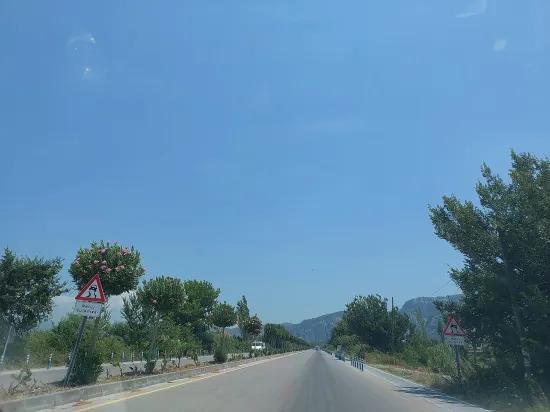 Muğla Ortaca Dalyanda 1563 M2, Otel, Villa Ve Daire Yapmayı Uygun İmarlı Arsa Satılık